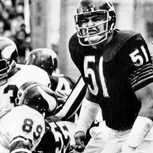 Meet your Posher, Cesar